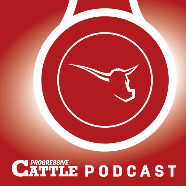 Capitalizing on higher cattle prices, and forces shaping the U.S. rural economy – with Ross Bronson and Brian Earnest artwork