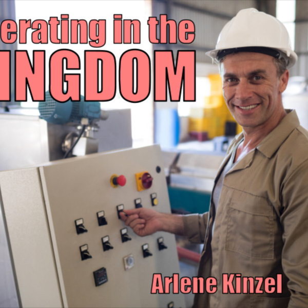 #2 - Operating in the Kingdom artwork
