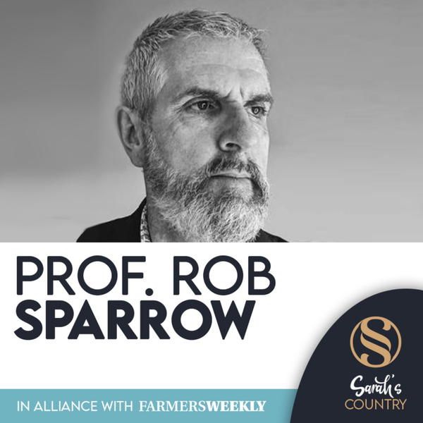 Professor Rob Sparrow | “Downside of robots on-farm” artwork