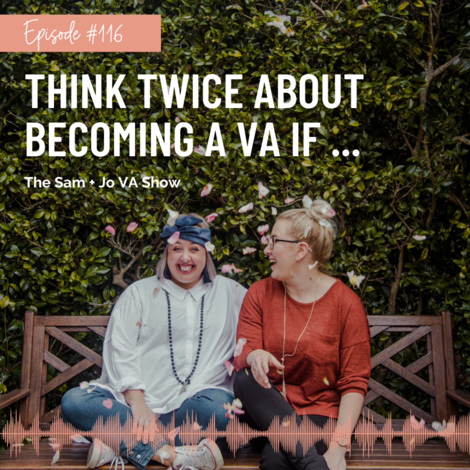 #116 Think Twice About Becoming A VA If...