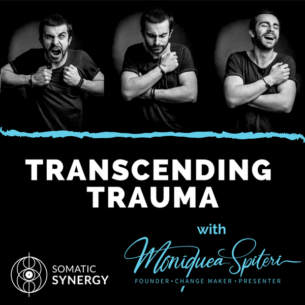 Episode 13 - The Vibration of Shame with Dee Woolridge artwork