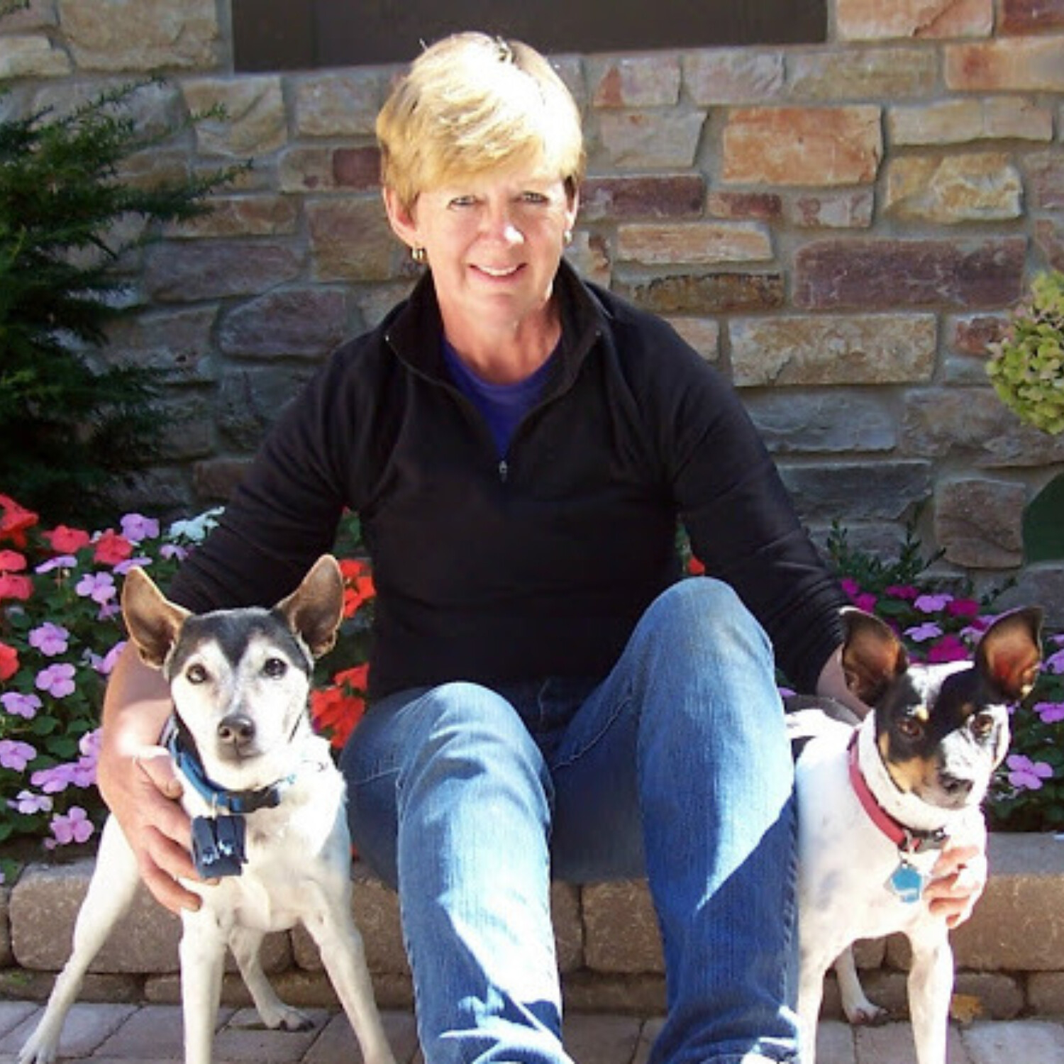 Co-Founder – Lost Dogs of America--KATHY POBLOSKIE PART 1