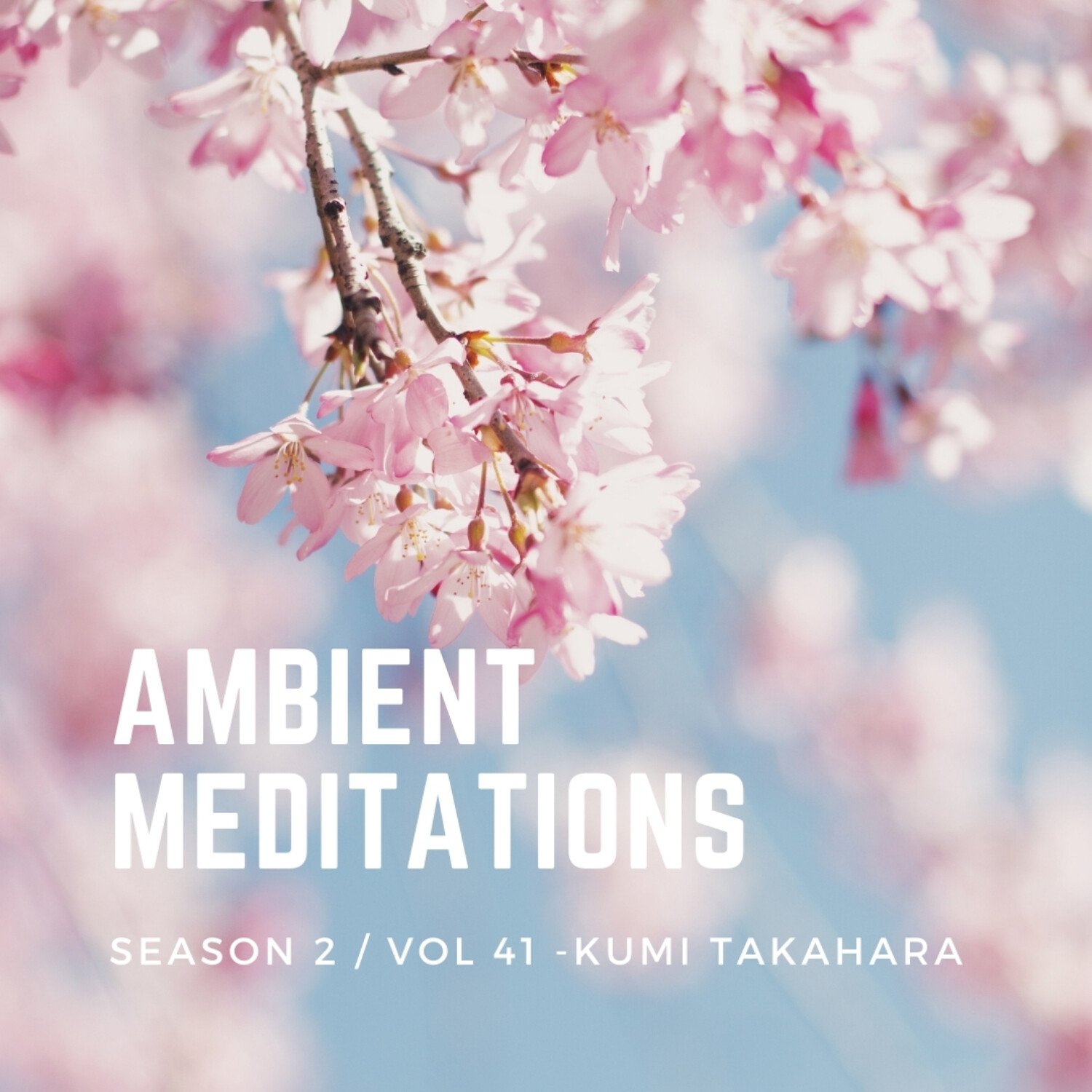 Magnetic Magazine Presents: Ambient Meditations Podcast