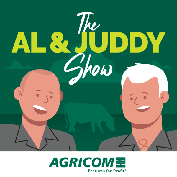 The Al & Juddy Show artwork