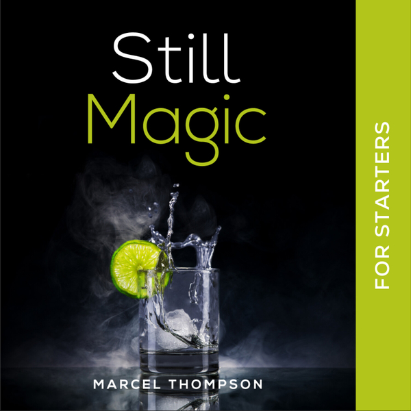 Still Magic - Foreword & Introduction artwork