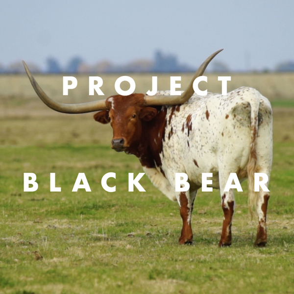 Episode 59 — Project Black Bear artwork