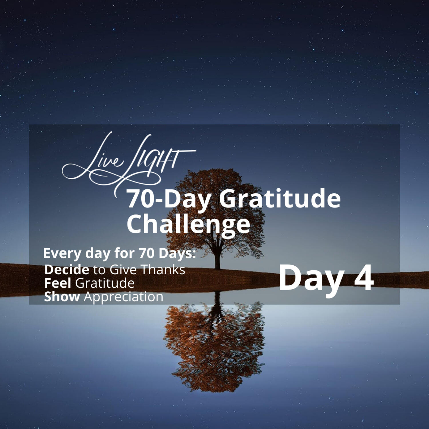 Gratitude Challenge Day 4 - Attitude Guard