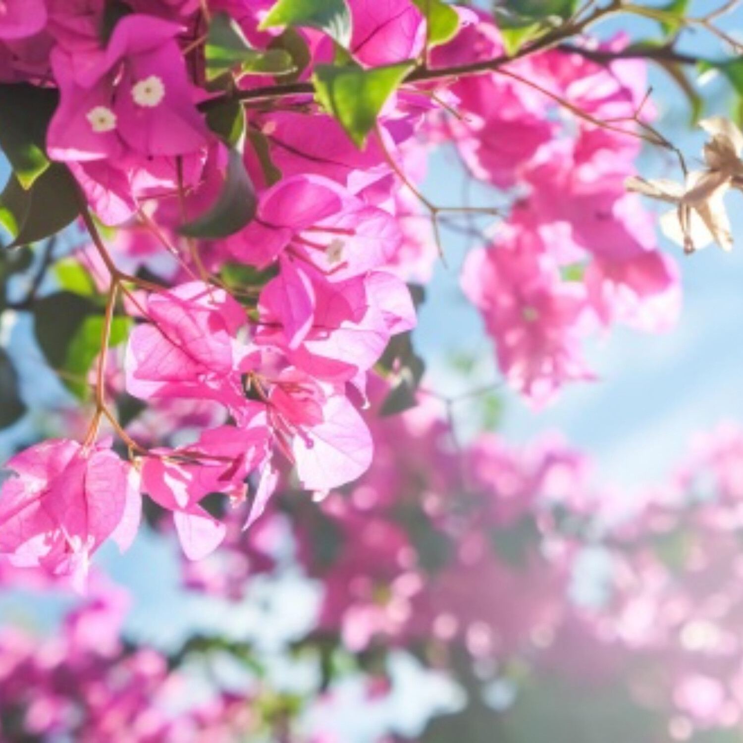 Žít věčným životem