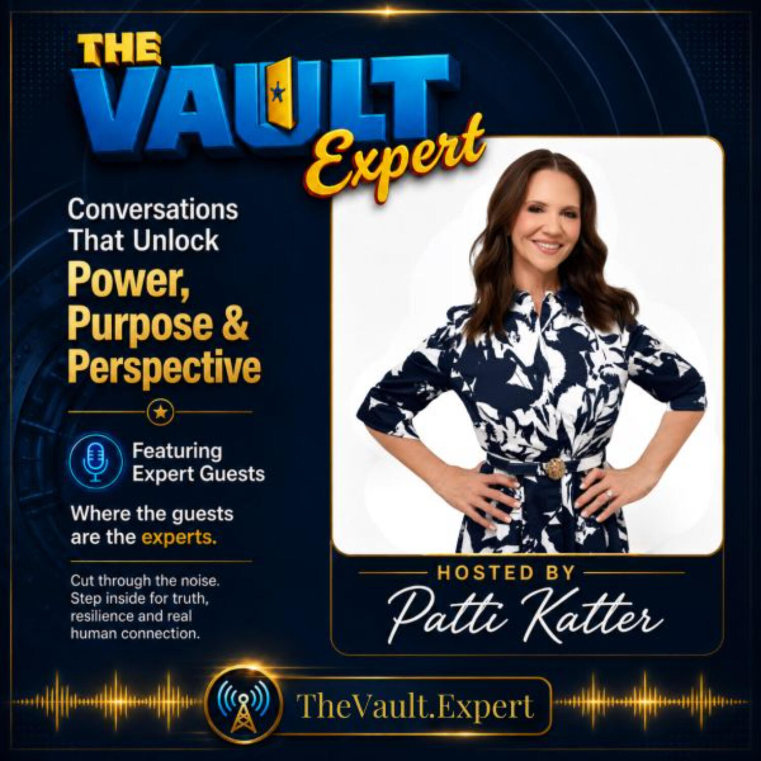 The Vault Expert - An Introduction to Human Trafficking, Internet Grooming and Predators