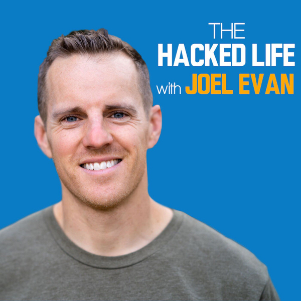 The Hacked Life artwork