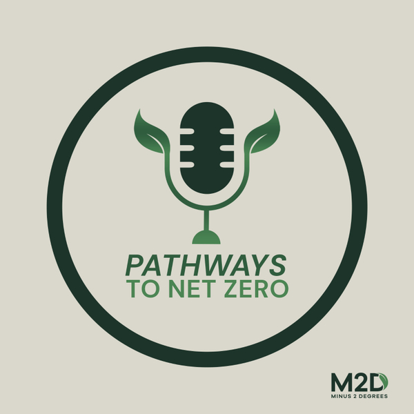 Pathways to Net Zero artwork