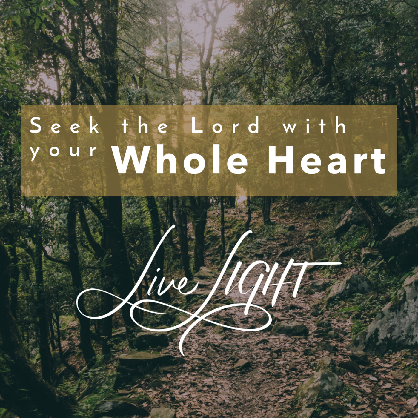 Seek the Lord with your whole heart