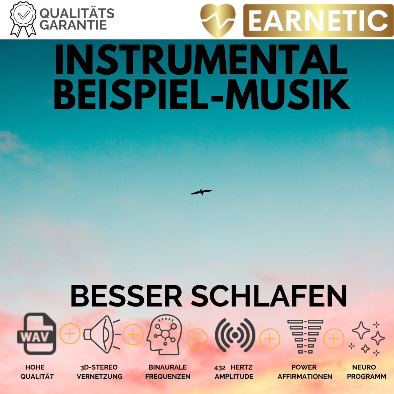 EARNETIC.de - Silent Subliminals & Neuromentalprogramme