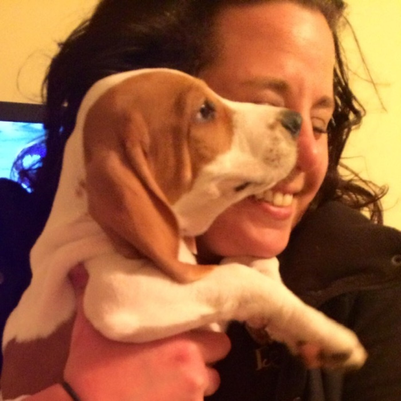 LET\'S TALK PETS - PATTY GIARRUSSO