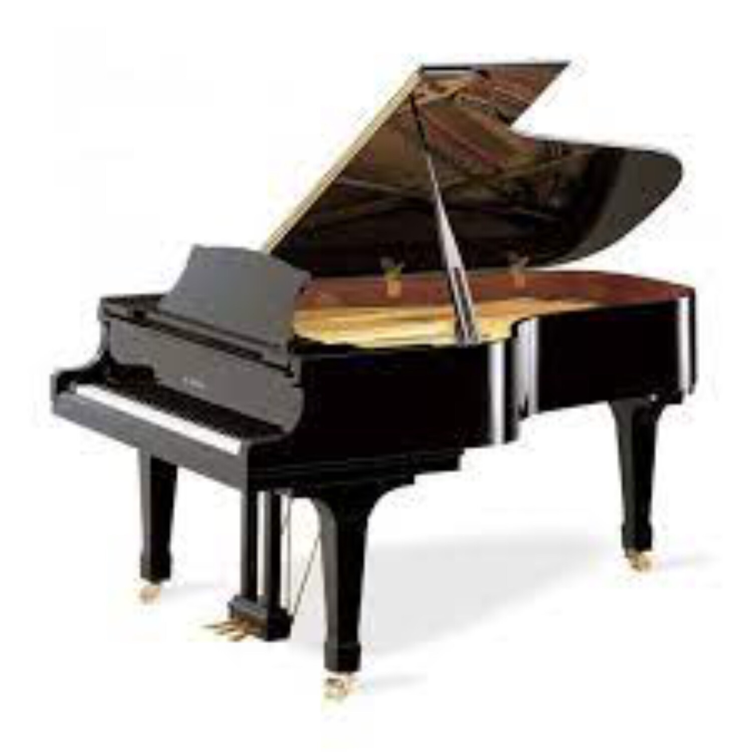 LIVE PIANO PLAYING 