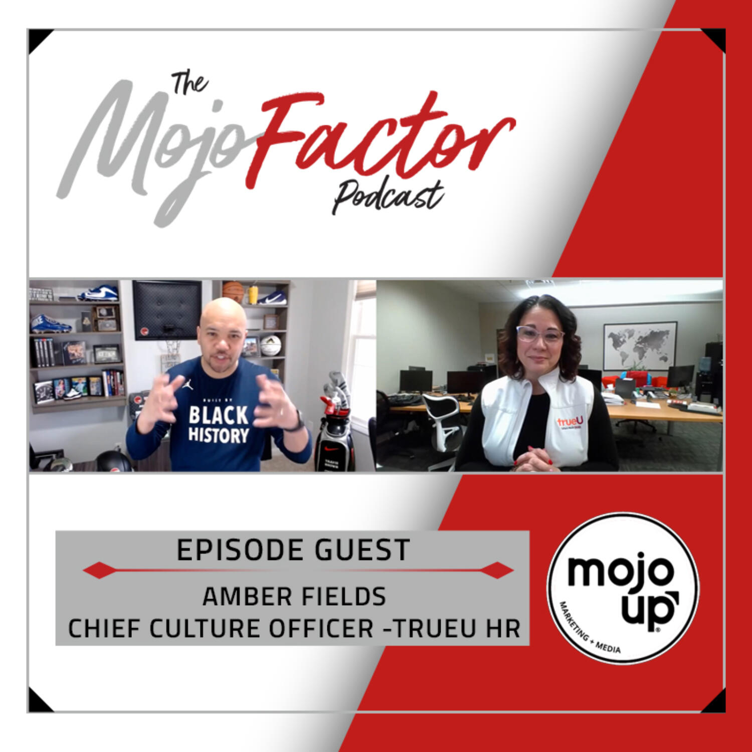 The Power of Culture in Organizations - Amber Fields episode artwork