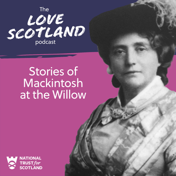 Stories of Mackintosh at the Willow artwork