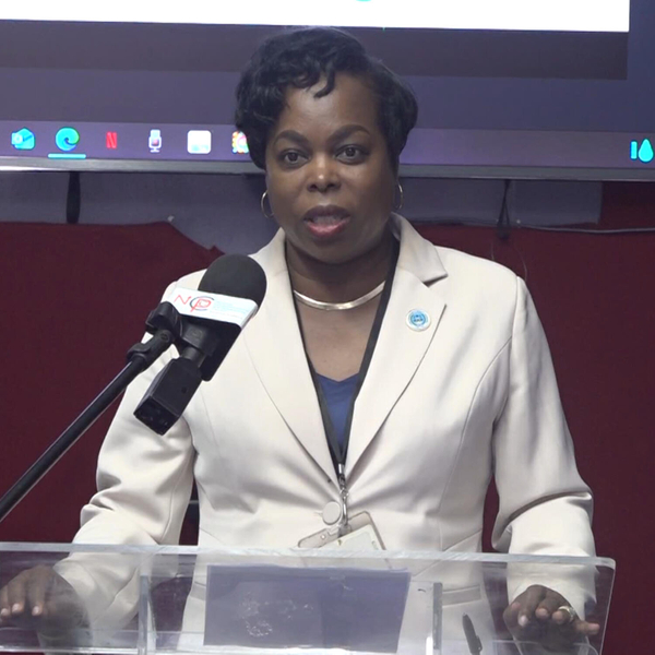 Software Technology to Modernize Saint Lucia’s Insolvency System artwork
