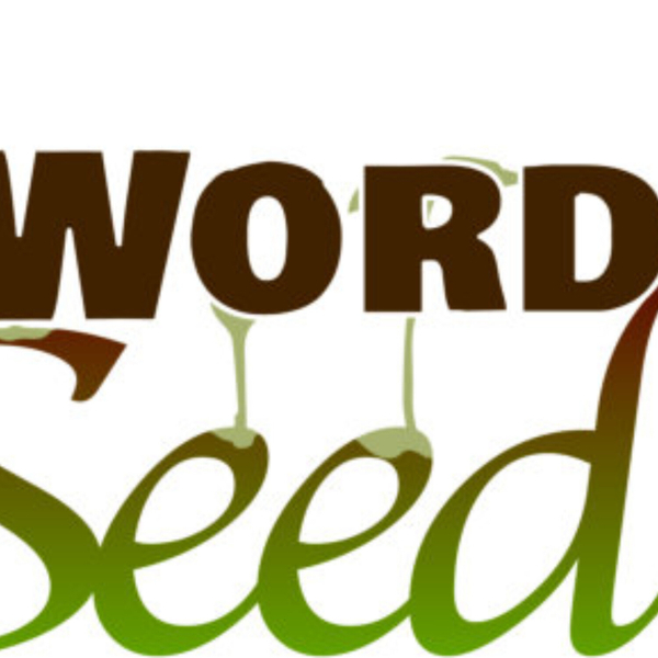 Word Seed artwork