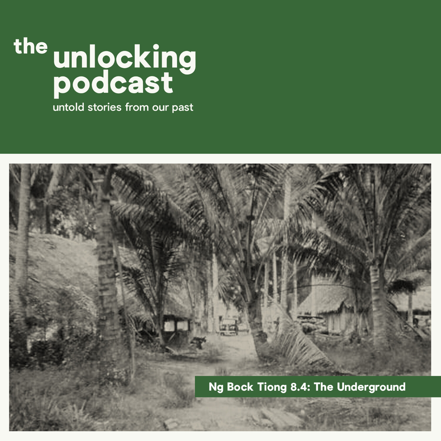 The Unlocking Podcast: Untold Stories From Our Past