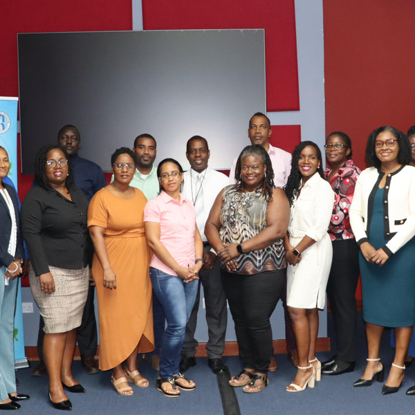 Front Line Clinical Professionals receive Training to Enhance their Skills to Care for Survivors of Rape and other Gender-based Violence artwork