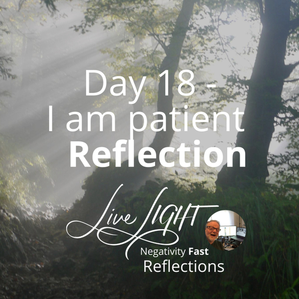 Negativity Fast Reflection - Day 18 - I Am Patient artwork
