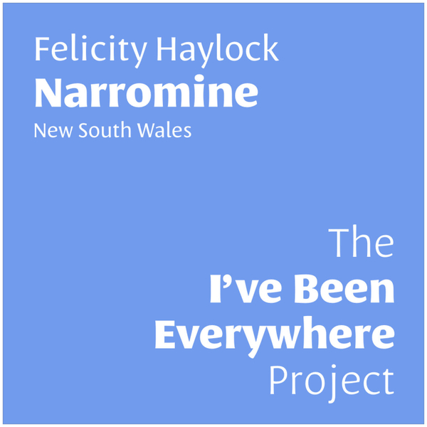 Felicity Haylock - Narromine artwork