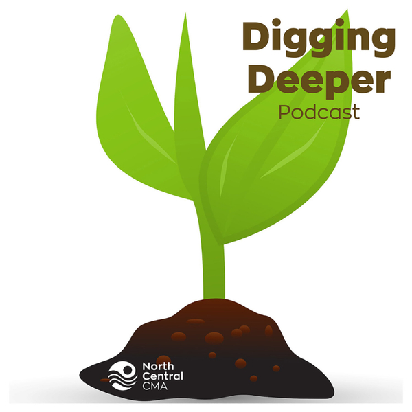 The Digging Deeper Podcast artwork