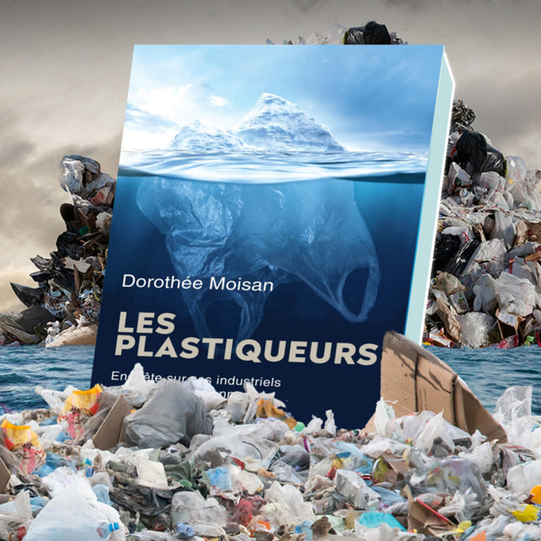 046 - Les Plastiqueurs de Dorothée Moisan artwork