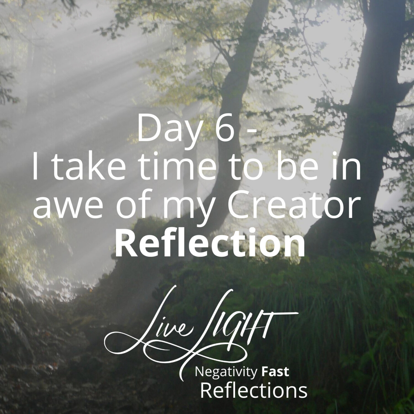 Negativity Fast Reflection - Day 6 - I Take Time To Be In Awe Of My Creator