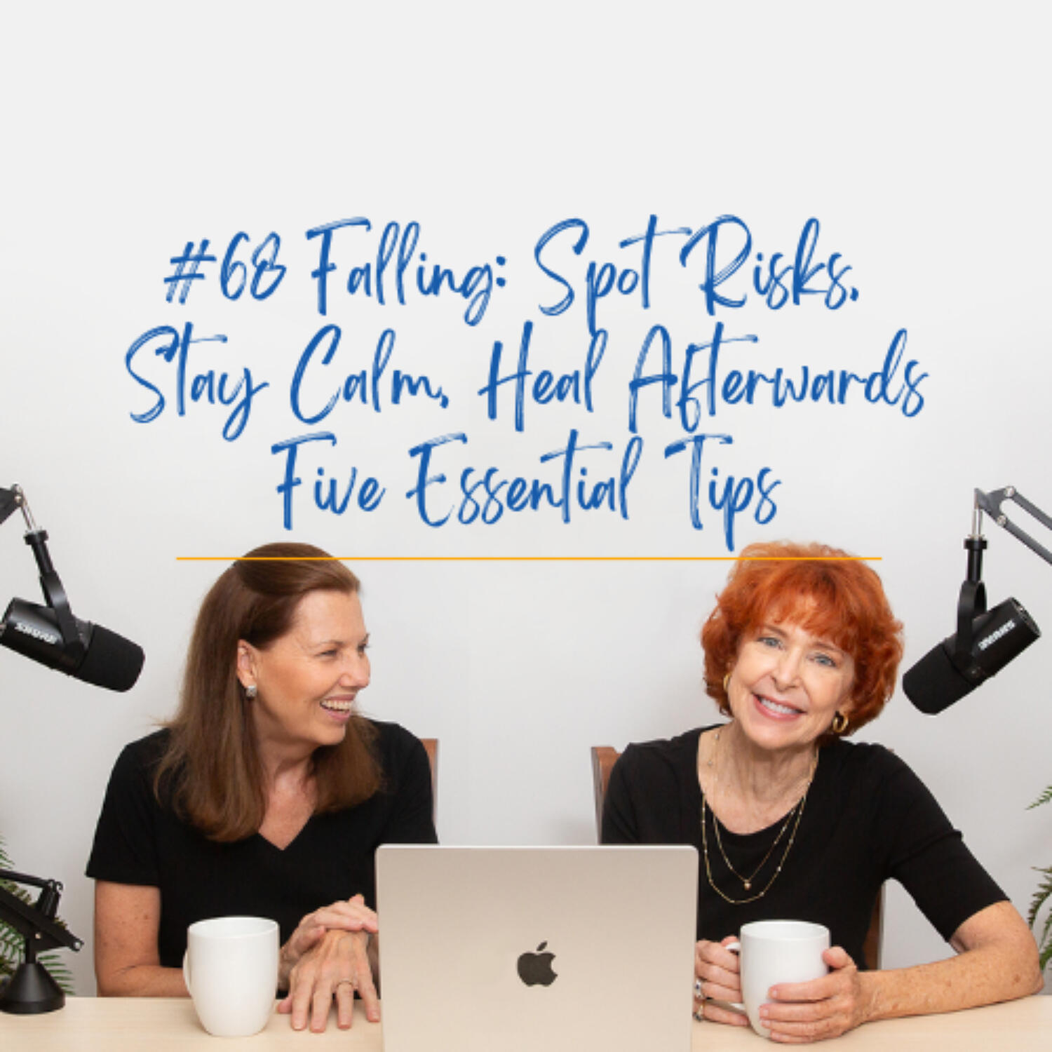 Falling - Spot Risks, Stay Calm, Heal Afterwards: Five Tips / Alzheimer’s and Other Dementias episode artwork