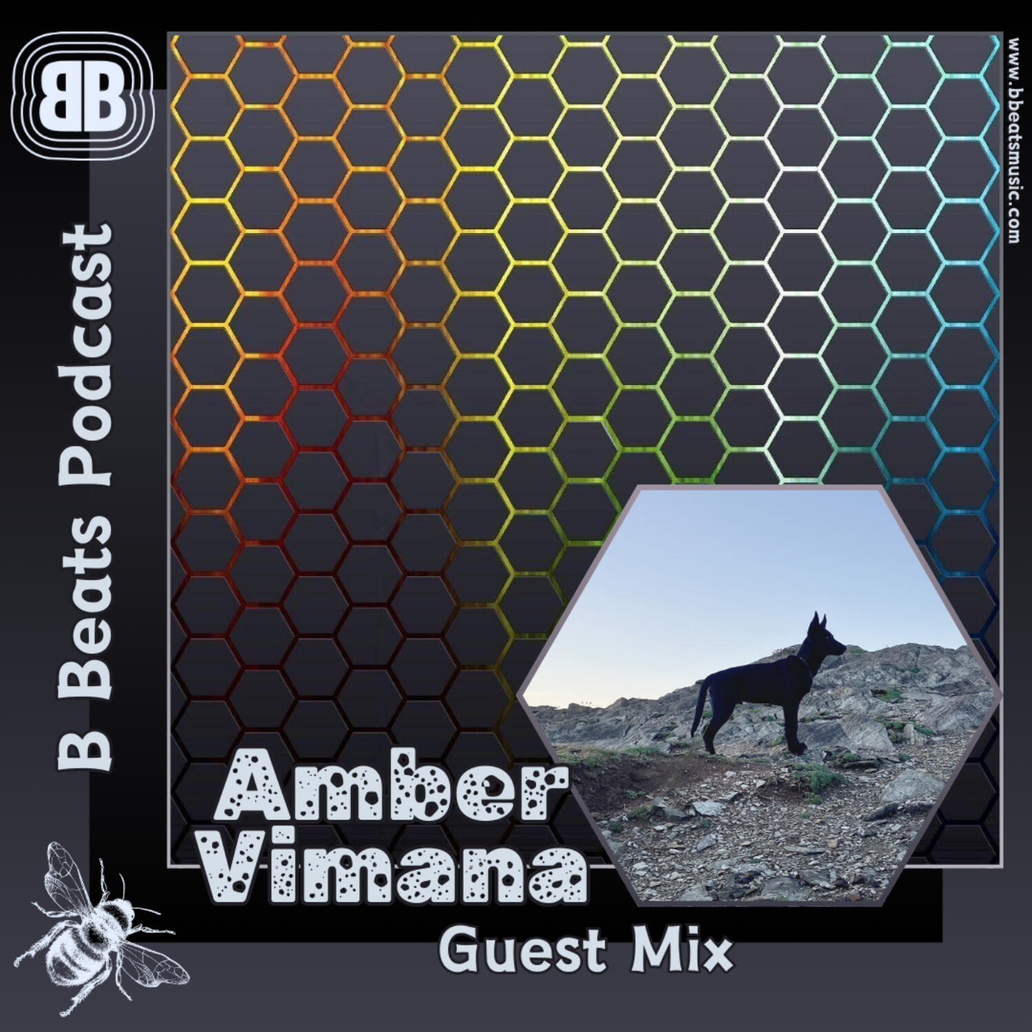 B Beats Presents ~ Amber Vimana ~ Acid Bleep & Bass Mix