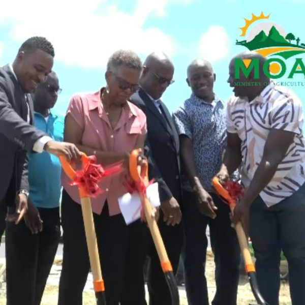 SOD Turning Ceremony in Micoud Jetty artwork
