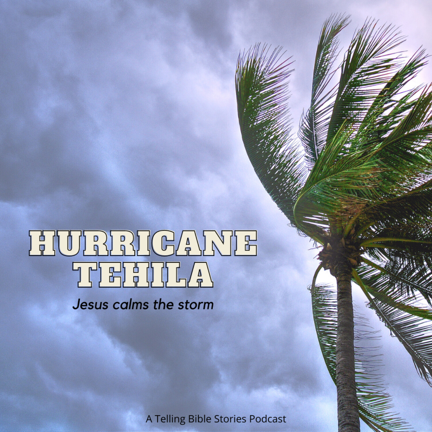 Hurricane Tehila (Jesus Calms The Storm) S4 E5 episode artwork