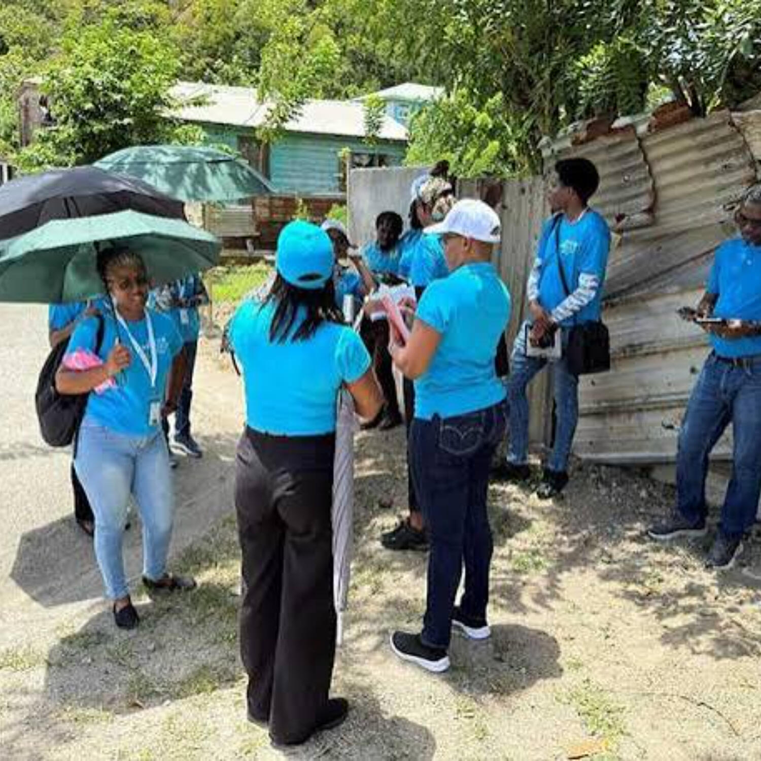 Saint Lucia advances MICS 7 with National Data Validation Workshop episode artwork