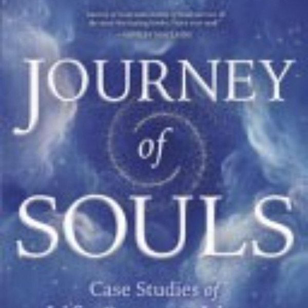 Journey of Souls: Exploring Life Between Lives and Beyond artwork