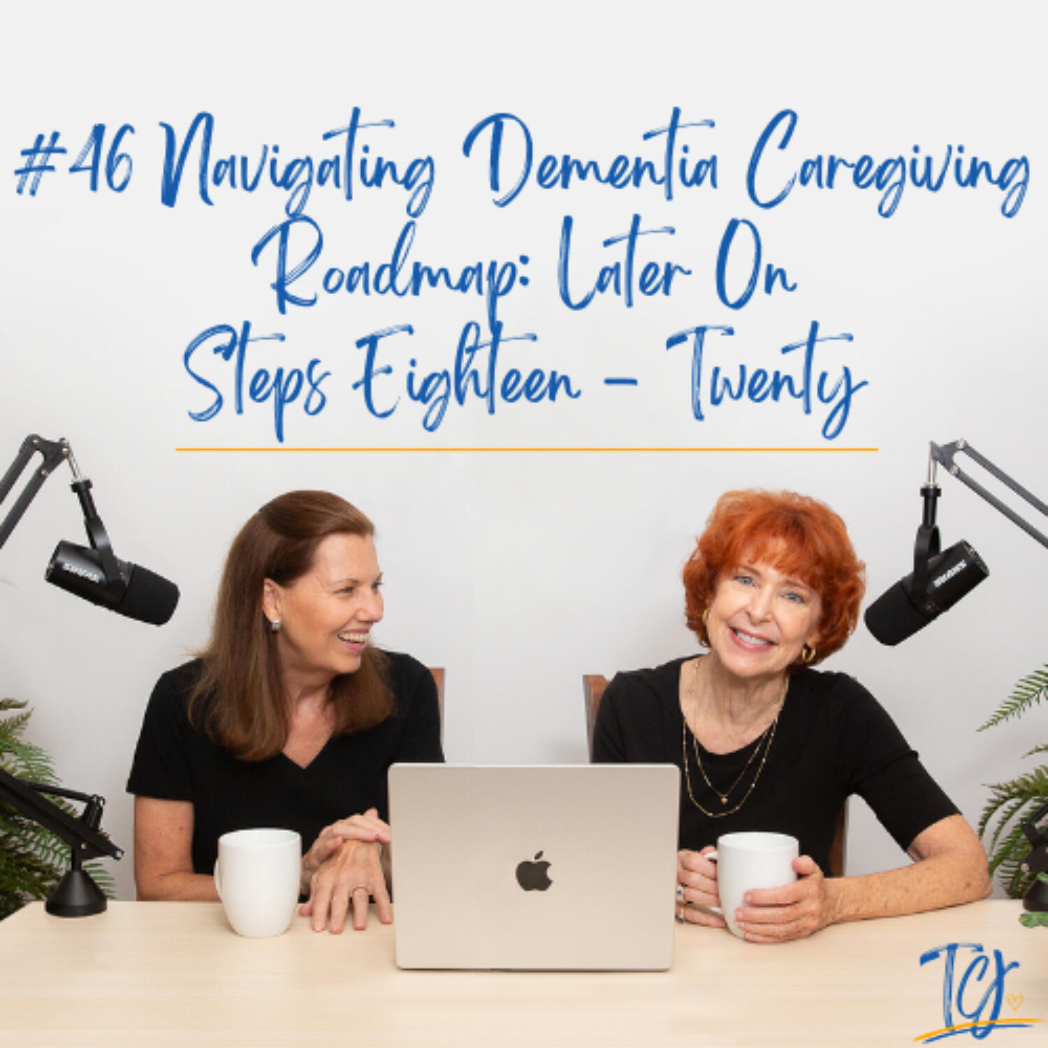 The Caregiver's Journey