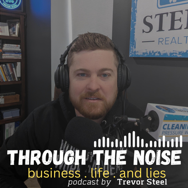 Through The Noise artwork