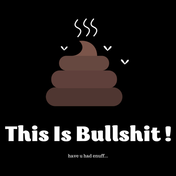This is Bull$hit artwork