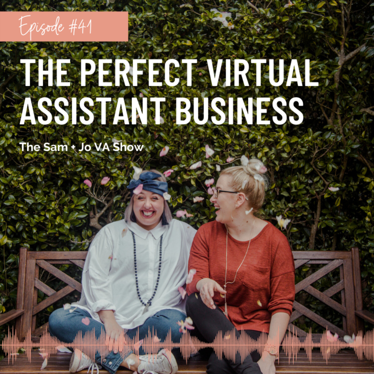 #41 The Perfect Virtual Assistant Business