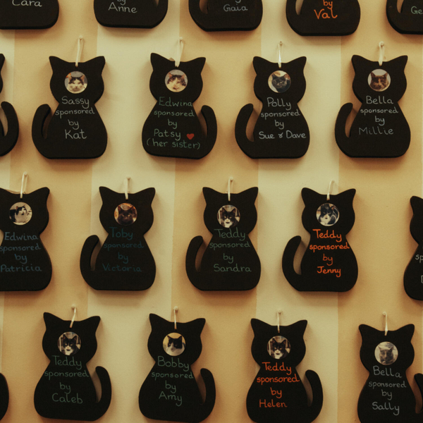 The Cosy Cat Café artwork