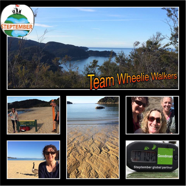 Living life well with Cerebral Palsy artwork