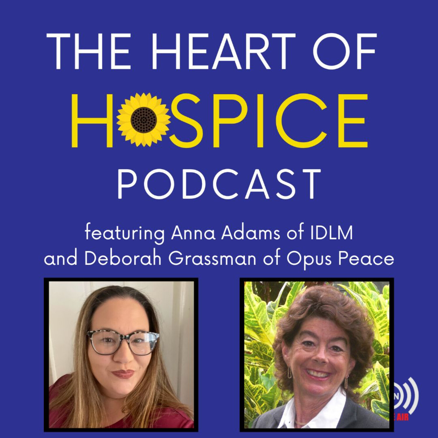 How to Best Serve Military Veterans on Hospice