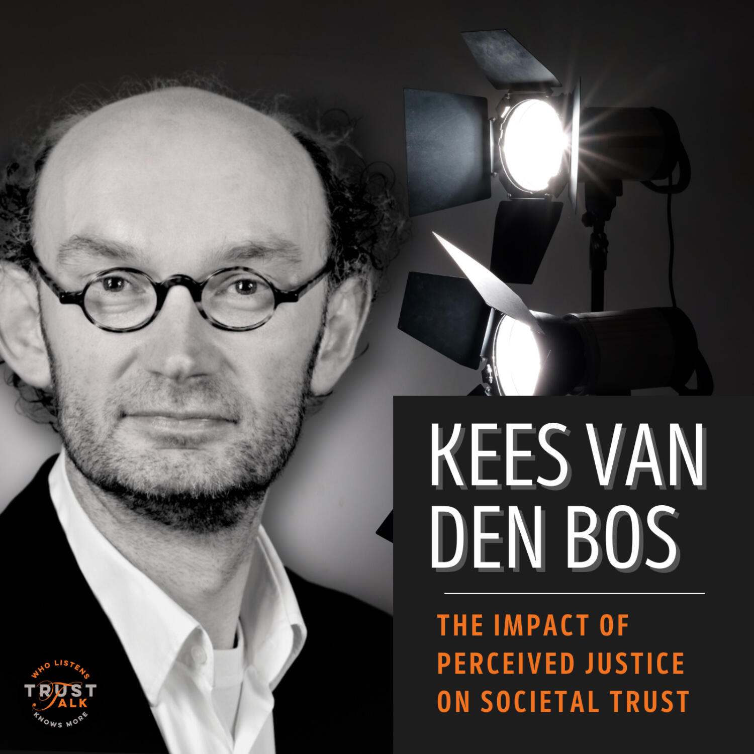 The Impact of Perceived Justice on Societal Trust