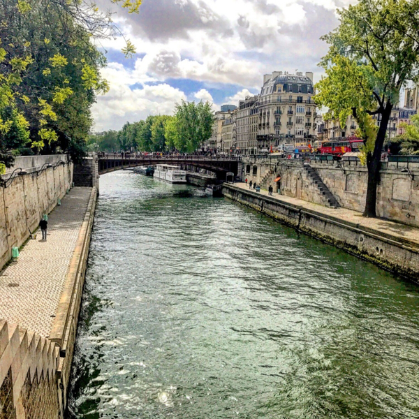The Left Bank of Paris: A Parisian Shares Why It's Special artwork