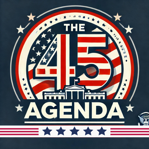 The 45th Agenda artwork