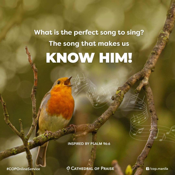 Psalm 96:6- What is The Perfect Song to Sing for Him? artwork