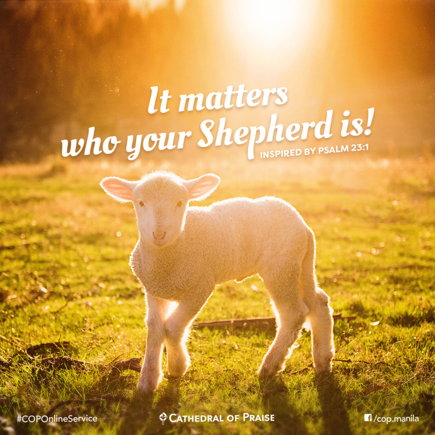 Psalm 23 1 It Makes A Difference Who Your Shepherd Is Praise Moments With Pastor Beverley Sumrall Podcast Co