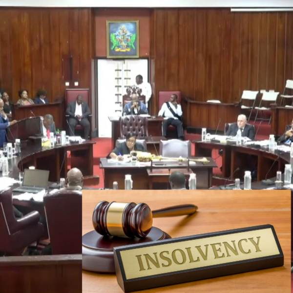 Insolvency Legislation to be Enacted in Saint Lucia artwork