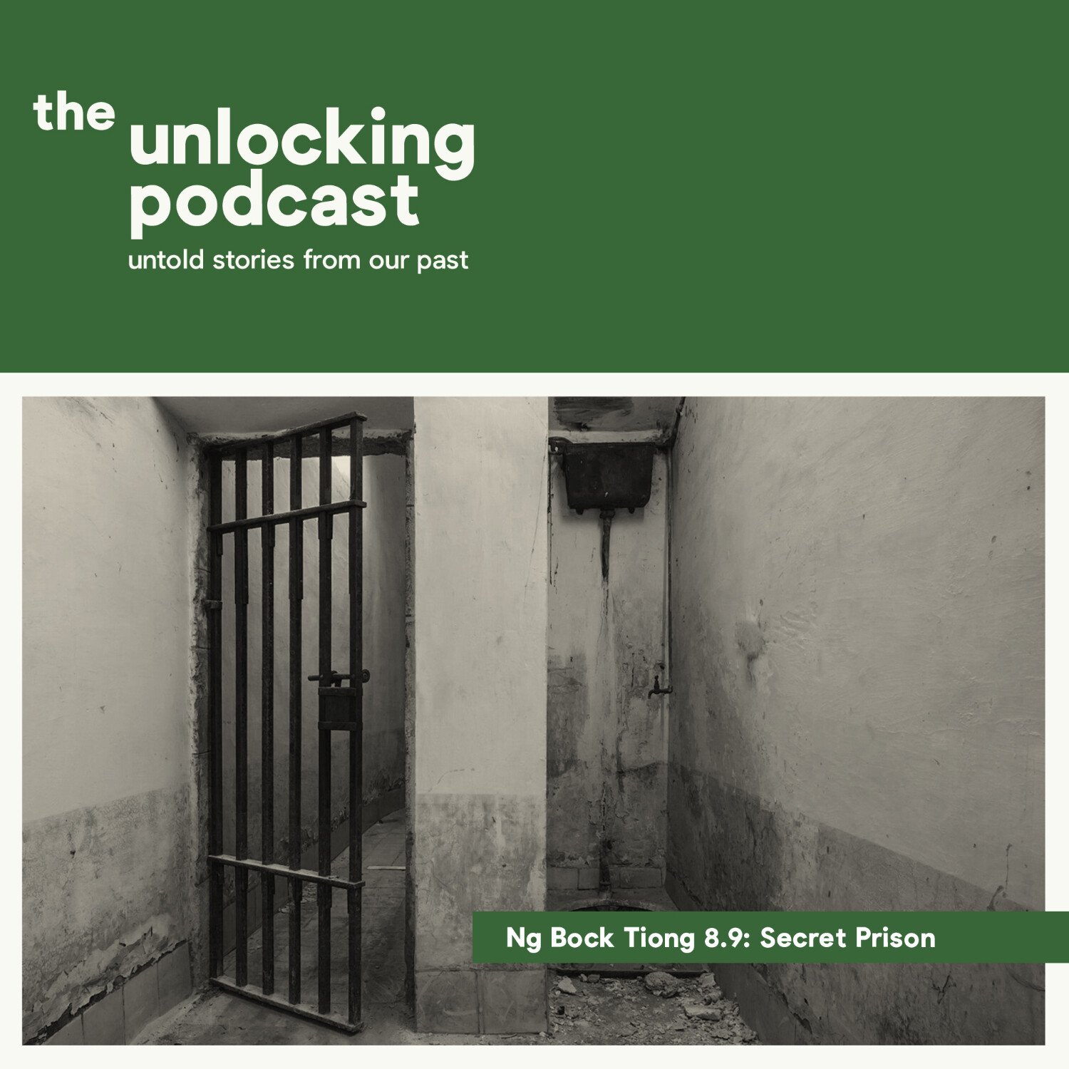 The Unlocking Podcast: Untold Stories From Our Past